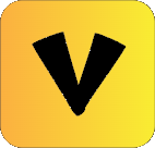 VulnServer Logo