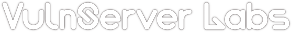 VulnServer Labs Large Logo